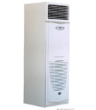 ʪĤ��ʪ��3KG